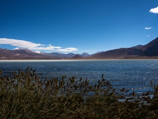 Andean Altiplano landscape panorama at Laguna Blanca Verde lake in Uyuni National Park Sur Lipez...
