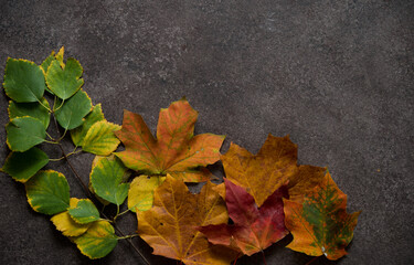 Autumn background with fallen leaves, golden autumn, top view