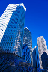 Fototapeta na wymiar 青空を背景にそびえ立つ西新宿の超高層ビル群