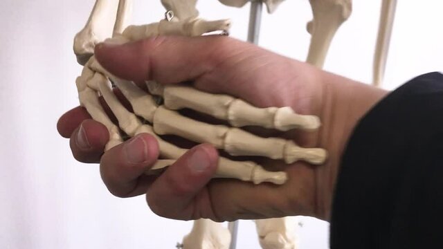 close up of hands holding bone skeleton hand