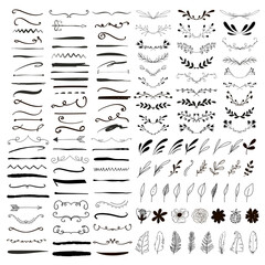 Line borders, text dividers and floral elements. 