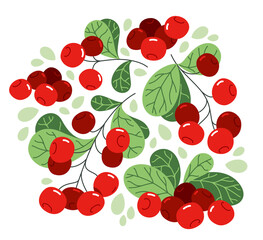 Fresh delicious ripe wild lingonberry vector flat illustration isolated on white, natural diet food vegetation tasty eating, forest wild berries series.