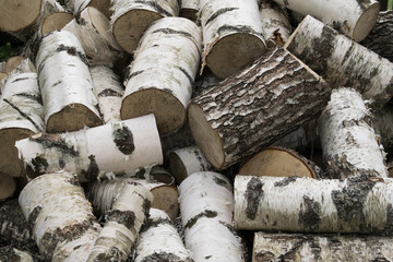 pile of birch firewood