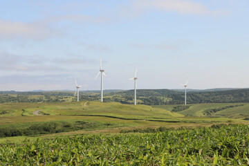 宗谷丘陵と風力発電