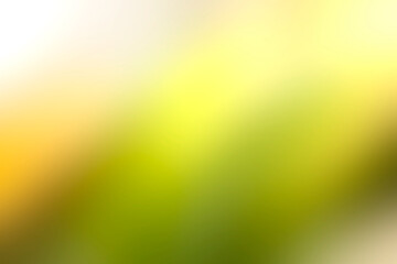 Abstract blurred background of the tree, yellow and black bokeh background among bright sunlight, use as a nature background. 