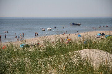 Die Dünenlandschaft am Weststrand Norderney und Meerblick: grüne Dünenlandschaft mit Nordsee und Tourismus