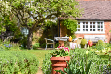 Fototapeta na wymiar Summer view of a domestic home garden with flowers lawn and patio furniture in the background