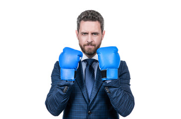 Senior manager wear boxing gloves in formal busines style isolated on white, competition