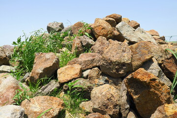初夏の江戸川河川敷に積まれた石