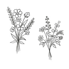 Vector sketch illustration of bouquet of flowers. Set of wildflowers in doodle style