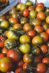Close up shot of beautiful vegetables on display in vendor's stall in fruit market in italy. A basket filled with small, red and green early cherry tomatoes.