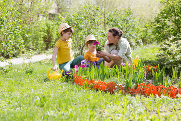 mother and two kids plant flowers in the garden near the houme on spring day. children help mom...