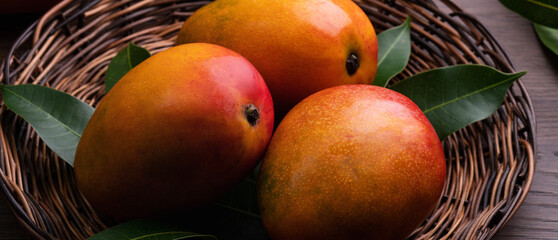 Mango. Fresh mango fruit on a bamboo sieve over dark wooden table background.