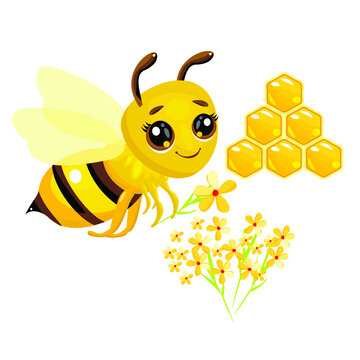 Very cute cartoon Bee with beautiful eyes. Yellow flowers. Honeycomb. Beekeeping, products, pictures for children. Vector illustration.