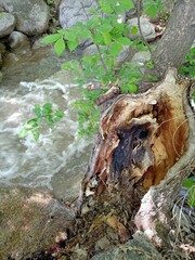 waterfall in the forest