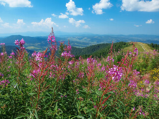 Wonderful view from the Vysoky Verkh Mountain. Tourist complex Zakhar Berkut, Carpathians, Ukraine