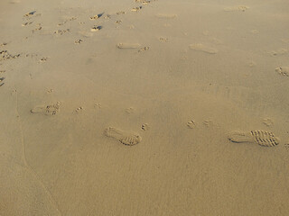 Sand texture from Beach - Holidays