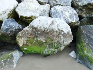 Rocks Group with Moss Seaside 