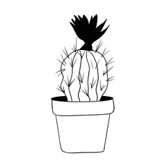 A prickly cactus with a flower on top