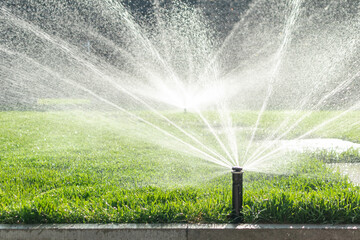 Garden irrigation system lawn. Automatic lawn sprinkler watering green grass. Selective focus.