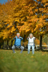 Fototapeta premium fit senior couple exercising in park