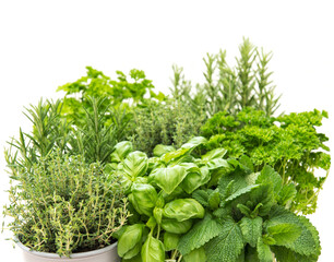 Kitchen herbs Healthy food ingredients. Basil rosemary thyme