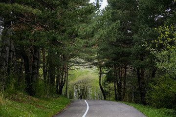 Fototapeta premium Пейзаж