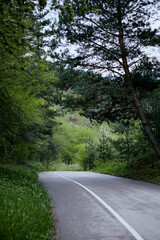 Fototapeta premium Scenery