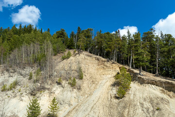 Sand mountain and Siberian pines upstairs. Sunny good day. Front view