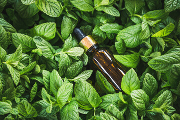 Essential oil bottle and green mint leaves background. Aromatherapy, green organic cosmetics.
