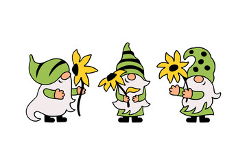 Three gnomes with sunflower are on white background. Vector illustration.