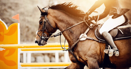 Equestrian sport. The leg of the rider in the stirrup, riding on a horse.