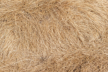 Area filled with dry grass and straw