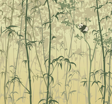 Background with bamboo forest and panda on wood. Vector illustration 