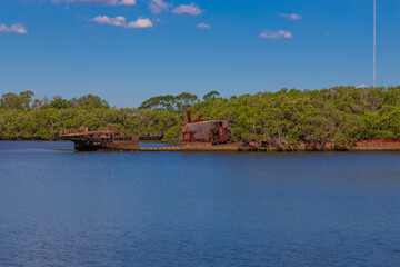 Fototapeta na wymiar rusted wreckage of a ship in a mangrove area on Parramatta river NSW Australia