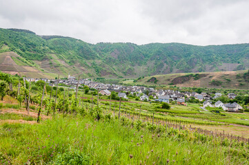 Bremm, Weindorf, Weinberge, Calmont, Mosel, Moselschlaufe, Moselweinstrasse, Fluss, Flussschifffahrt, Schifffahrt, Kirche, Fr&uuml;hling, Sommer, Deutschland