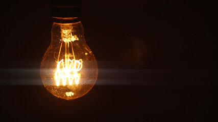 Vintage Edison light bulb reproduction.
