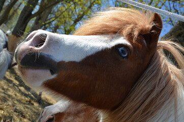 Kurozwęki , w Kurozwękach , Polska Kurozwęki , Polska , Kurozwęki wiosną © Szymon