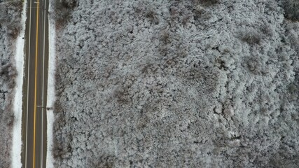 Snowy Scenes