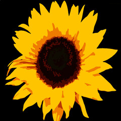 Sonnenblume Vektor