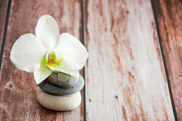 Fototapeta na wymiar natural orchid flowers on gray decorative stones