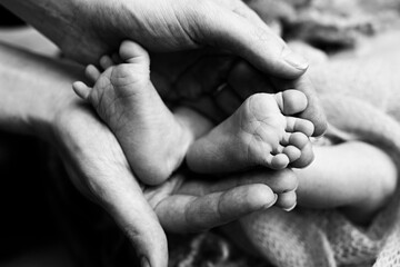 Children's feet in hold hands of mother and father on white. Mother, father and newborn Child. Happy Family people concept. Black and white.
