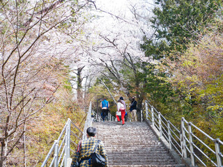 walk in the woods