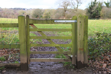 A closed green wooden gate across a muddy path leading into a field in rural Denbighshire, Wales, UK.