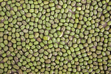 Green bean background or mung bean. Green bean seed background for design.