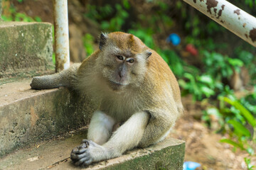 Langkawi - Kuala Lumpur - Malaisie 