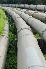 steel long pipe in crude oil factory. Industrial background