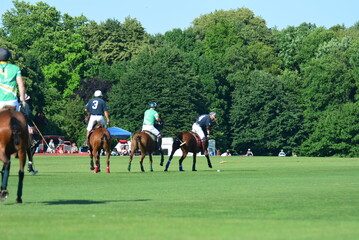 Newport Polo