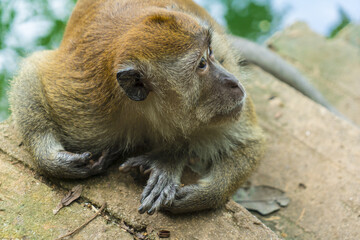 Langkawi - kuala Lumpur  - Malaisie