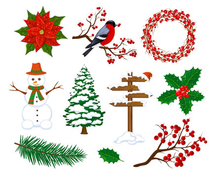 Winter Merry Christmas and Happy New Year Objects Decoration Elements Items set collection for Xmas design with bullfinch bird, rowan berry branch, mistletoe, wreath, forest pine tree with snow